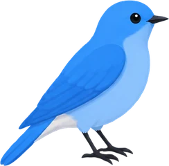 Mountain Bluebird