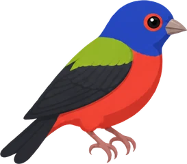 Painted Bunting