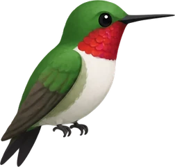 Ruby-throated Hummingbird
